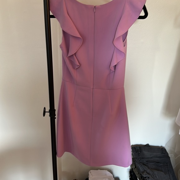 Whisper Ruffle V Neck Mini Dress - Picture 2 of 3